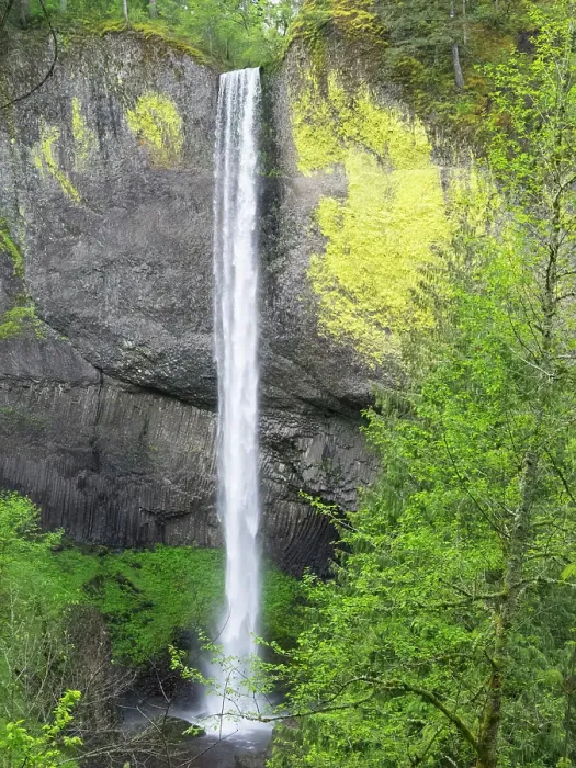 Framed Print : Oregon, USA. Columbia River Gorge National Scenic Area, Latourell Falls Framed Print : Oregon, USA. Columbia River Gorge National Scenic Area, Latourell Falls