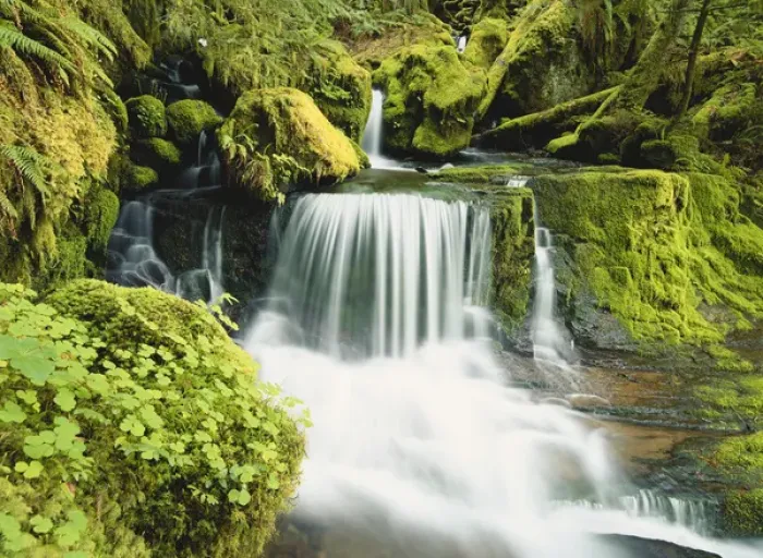 Framed Print : 08. Oregon, Waterfall in Willamette national forest