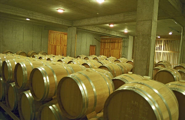 The Oremus winery in Tolcsva, Tokaj: The wood aging cellar with new oak barrels for