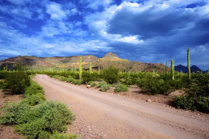 Framed Print : Organ Pipe Cactus National Monument: Ajo Mountain Drive winds through the desert forest of Saguaro Framed Print : Organ Pipe Cactus National Monument: Ajo Mountain Drive winds through the desert forest of Saguaro