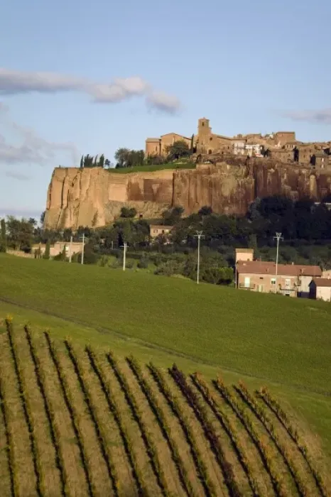 Framed Print : Orvieto, vineyard, Umbria, Italy Framed Print : Orvieto, vineyard, Umbria, Italy
