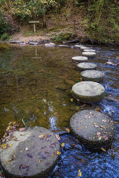 Otter Lake Creek stepping stones, Blue Ridge Parkway, Smoky Mountains, USA
