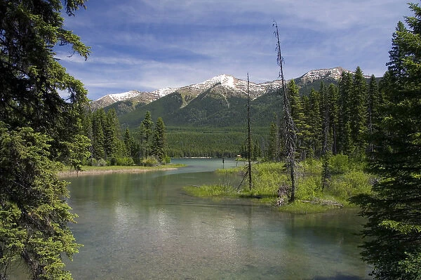 The outlet creek of Holland Lake in the Flathead National Forest near Condon, Montana
