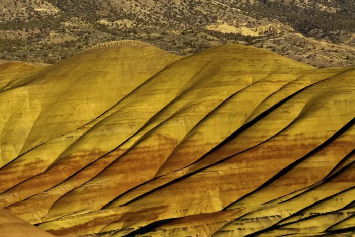 Framed Print : Overlook detail, Painted Hills, John Day Fossil Beds, Mitchell, Oregon, USA