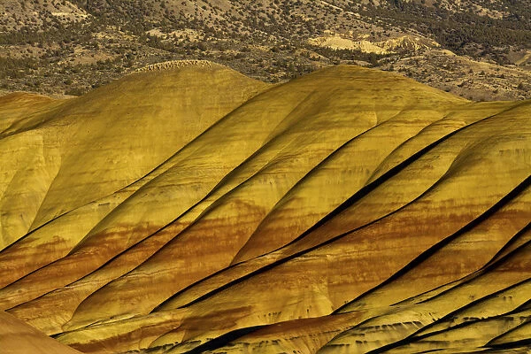Overlook detail, Painted Hills, John Day Fossil Beds, Mitchell, Oregon, USA