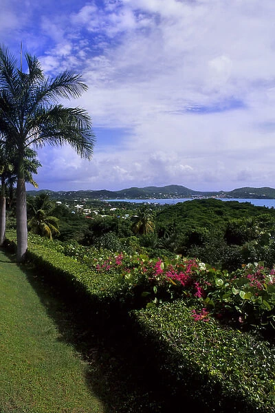 Overlook of trees and ocean in colorful English Harbour in Antigua