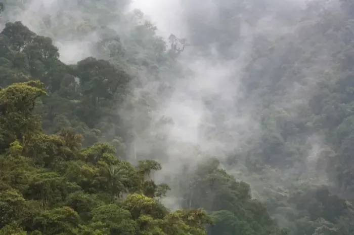 Framed Print : Overview of the cloud forest, Andes Mountains, Tandayapa Birding Lodge, Ecuador
