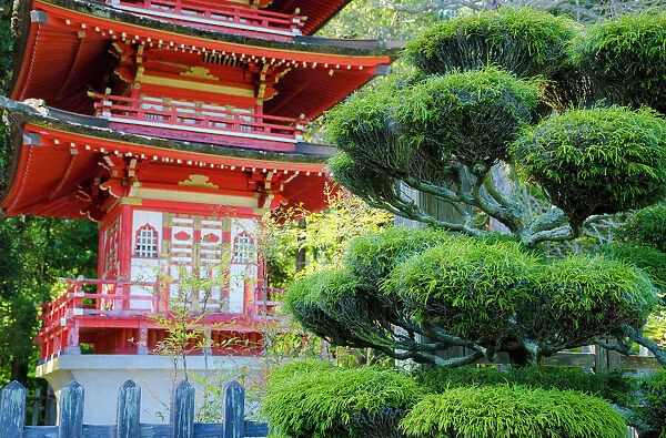 Pagoda, Japanese Tea Garden, Golden Gate Park, San Francisco, California, USA