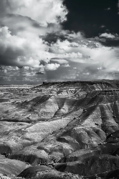 Painted Desert from Lacey Point, Petrified Forest National Park, AZ