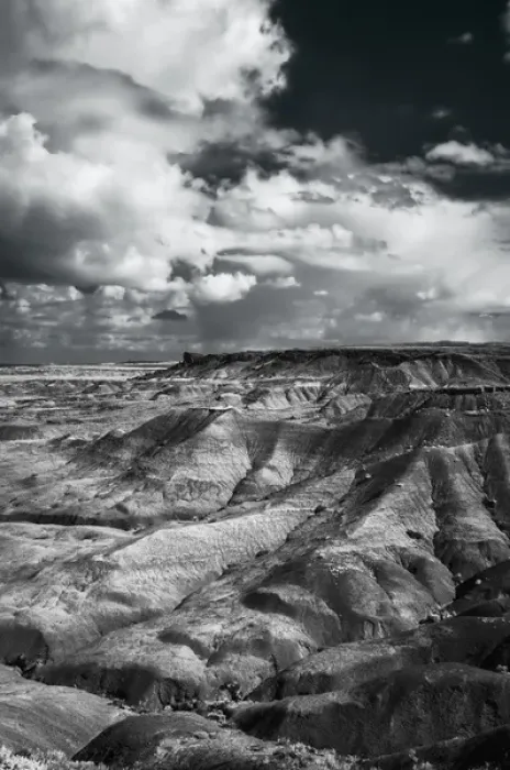 Framed Print : Painted Desert from Lacey Point, Petrified Forest National Park, AZ Framed Print : Painted Desert from Lacey Point, Petrified Forest National Park, AZ