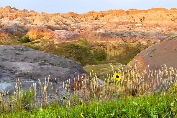 A painterly image of softer hoodoos set against a row of wildflowers and grass