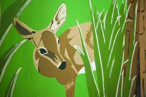 Painting of deer, Belize Zoo, Belize