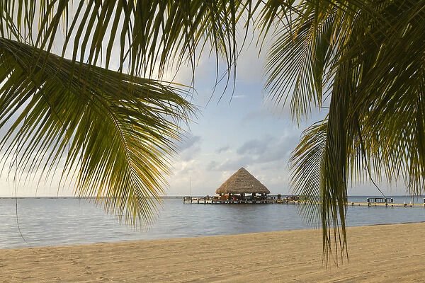 A palapa and sandy beach, Placencia, Belize