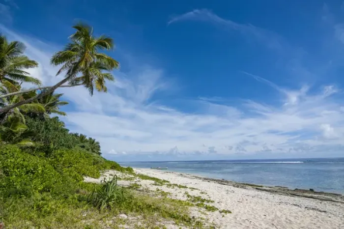 Framed Print : Palm fringed Kolovai beach, Tongatapu, Tonga, South Pacific