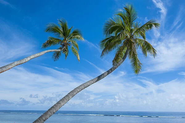 palm fringed kolovai beach, tongatapu, tonga, south pacific