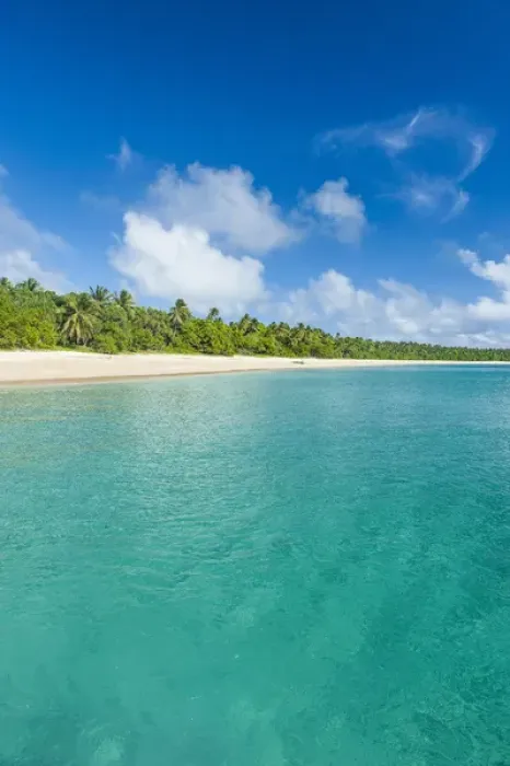Framed Print : Palm fringed white sand beach in Haa'apai, Haapai, islands, Tonga, South Pacific Framed Print : Palm fringed white sand beach in Haa'apai, Haapai, islands, Tonga, South Pacific