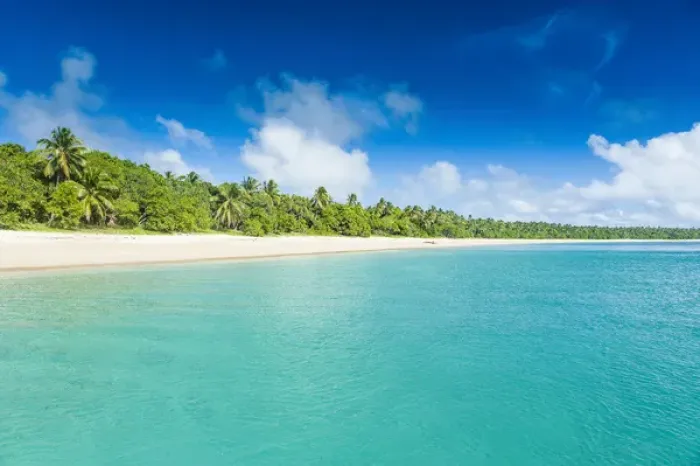 Framed Print : Palm fringed white sand beach in Haa'apai, Haapai, islands, Tonga, South Pacific Framed Print : Palm fringed white sand beach in Haa'apai, Haapai, islands, Tonga, South Pacific