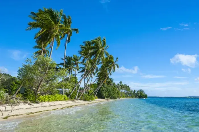 Framed Print : Palm fringed white sand beach on an islet of Vavaa'u, Vavau islands, Tonga, South Pacific Framed Print : Palm fringed white sand beach on an islet of Vavaa'u, Vavau islands, Tonga, South Pacific