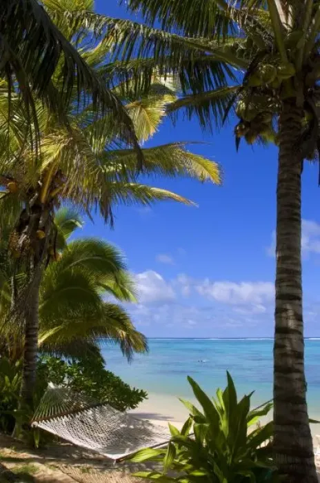 Framed Print : Palm lined beach Cook Islands Framed Print : Palm lined beach Cook Islands