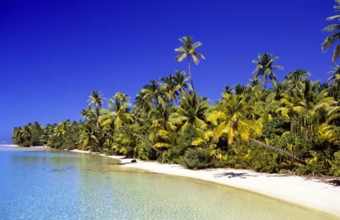 Framed Print : Palm lined beach Cook Islands Framed Print : Palm lined beach Cook Islands