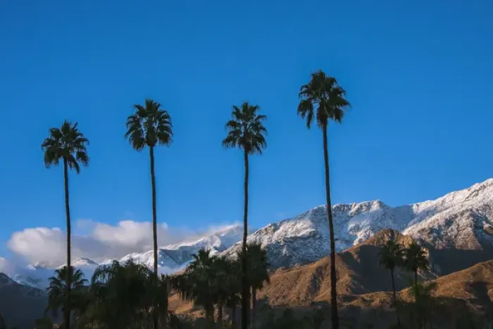 Framed Print : Palm Springs, California Framed Print : Palm Springs, California