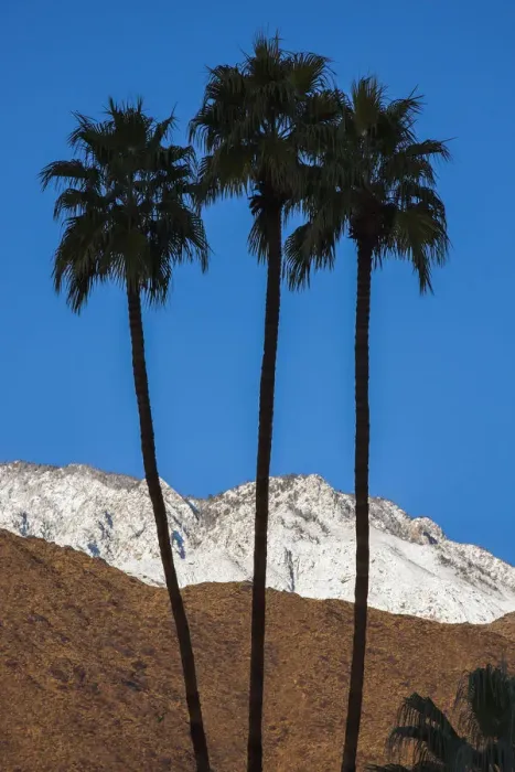Framed Print : Palm Springs, California Framed Print : Palm Springs, California