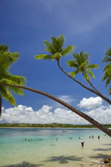 Framed Print : Palm trees, Shangri-La Fijian Resort, Yanuca Island, Coral Coast, Viti Levu, Fiji Framed Print : Palm trees, Shangri-La Fijian Resort, Yanuca Island, Coral Coast, Viti Levu, Fiji