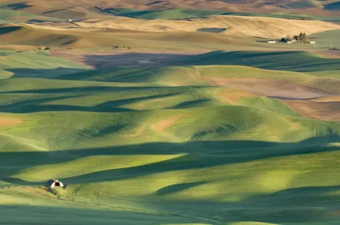 Framed Print : Palouse Farm Fields From Steptoe Butte SP at Sunrise, Whitman Co. WA, USA