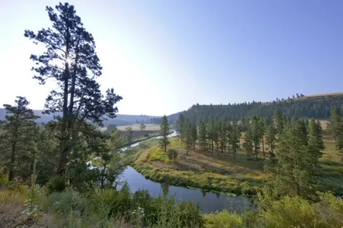 Framed Print : The Palouse River near Colfax, Washington Framed Print : The Palouse River near Colfax, Washington
