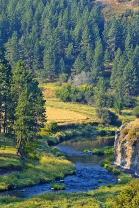 Framed Print : The Palouse River near Colfax, Washington