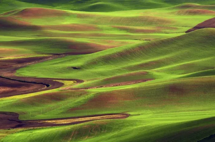 Framed Print : Palouse from Steptoe Butte of Cultivation Patterns; Whitman County; Washington, USA