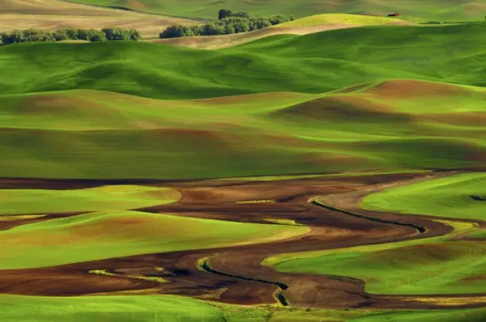 Framed Print : Palouse view from Steptoe Butte of Cultivation Patterns Framed Print : Palouse view from Steptoe Butte of Cultivation Patterns