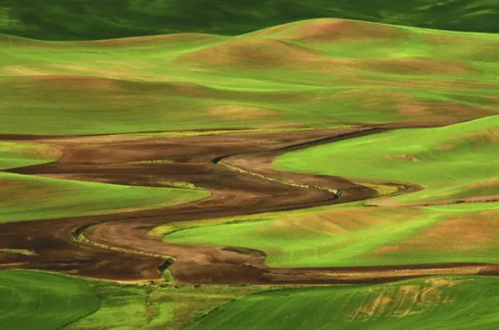 Framed Print : Palouse view from Steptoe Butte of Cultivation Patterns; Whitman County; Washington Framed Print : Palouse view from Steptoe Butte of Cultivation Patterns; Whitman County; Washington