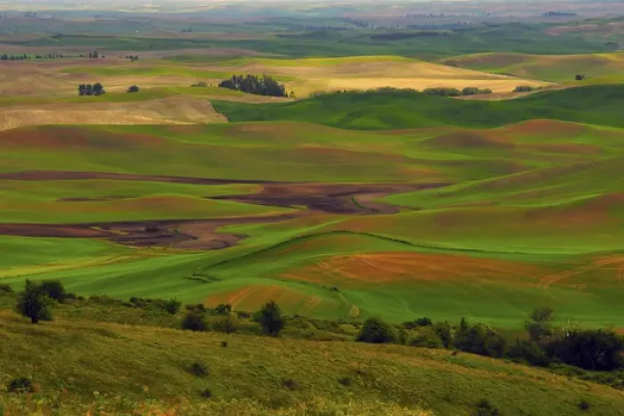 Framed Print : Palouse view from Steptoe Butte of Cultivation Patterns; Whitman County; Washington