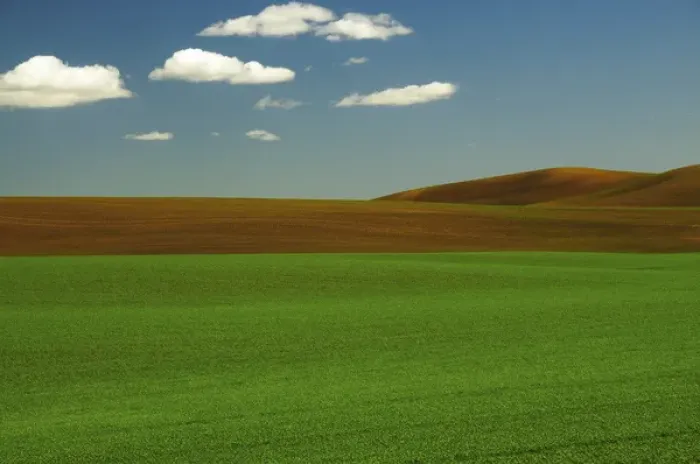 Framed Print : Palouse View in Whitman County, Washington, USA