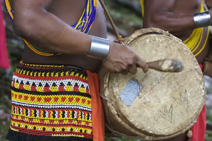 Framed Print : Panama. A close up of a young Embra indian man playing the drums Framed Print : Panama. A close up of a young Embra indian man playing the drums