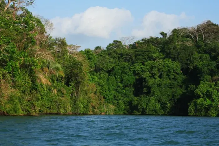 Framed Print : Panama, Panama Canal, tropical forest along the edges of the Panama Canal Framed Print : Panama, Panama Canal, tropical forest along the edges of the Panama Canal
