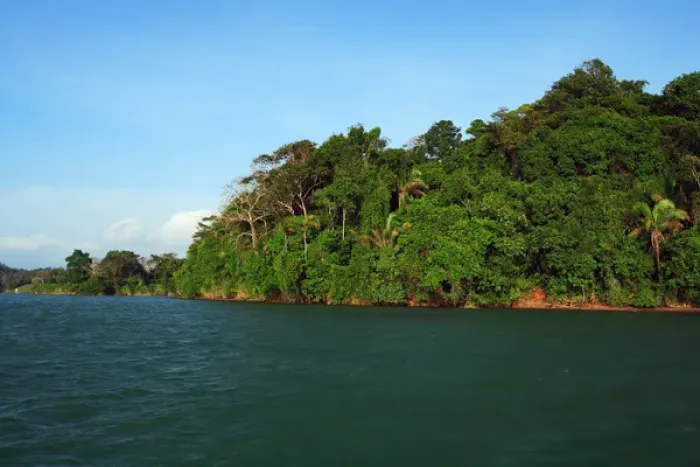 Framed Print : Panama, Panama Canal, tropical forest along the edges of the Panama Canal