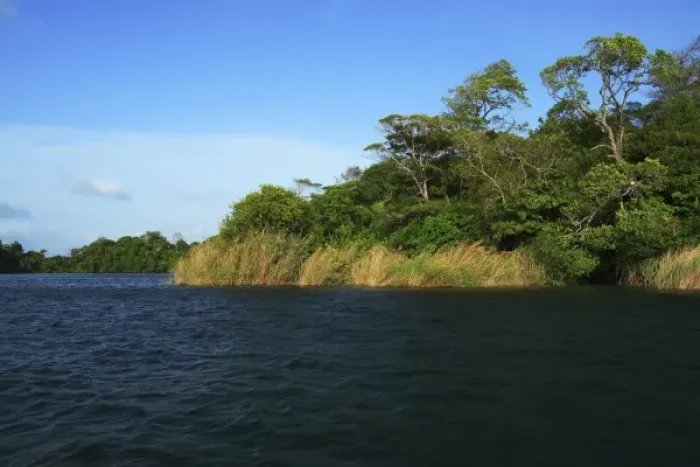 Framed Print : Panama, Panama Canal, tropical forest along the edges of the Panama Canal
