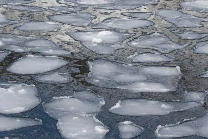 Framed Print : Pancake Ice along Shiretoko Peninsula. Winter in Northern Hokkaido, Japan