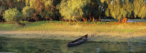 Panorama of Channel in the Danube Delta with fishing boat, romania. Big willows