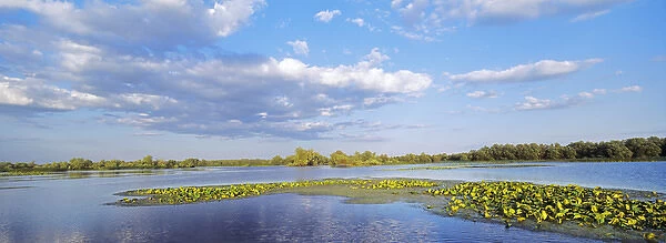 Panorama of lakes and channels in the Danube Delta, romania