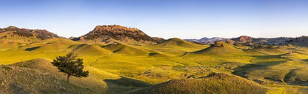 Panoramic of the Bears Paw Mountains in summer in Blaine County, Montana, USA