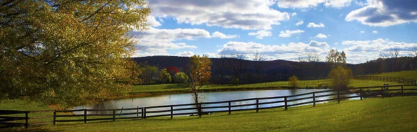 Panoramic scene in the vineyards in Virginia