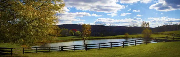 Framed Print : Panoramic scene in the vineyards in Virginia Framed Print : Panoramic scene in the vineyards in Virginia