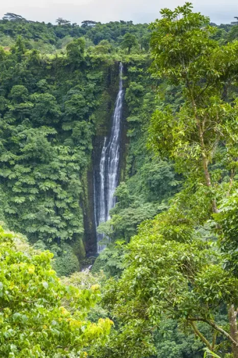 Framed Print : Papapapai-Tai Falls, Upolo, Samoa, South Pacific Framed Print : Papapapai-Tai Falls, Upolo, Samoa, South Pacific