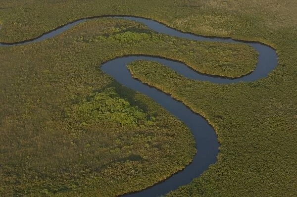 Papyrus swamps & channel. Okavango Delta, BOTSWANA. Southern Africa