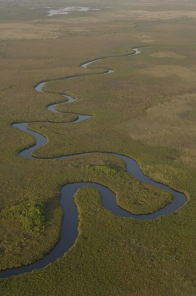 Papyrus swamps & channel. Okavango Delta, BOTSWANA. Southern Africa