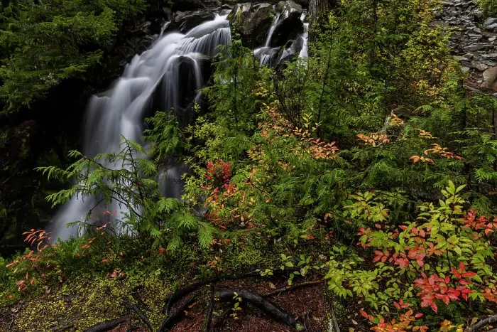 Framed Print : Paradise River in autumn in Mount Rainier National Park, Washington State, USA Framed Print : Paradise River in autumn in Mount Rainier National Park, Washington State, USA