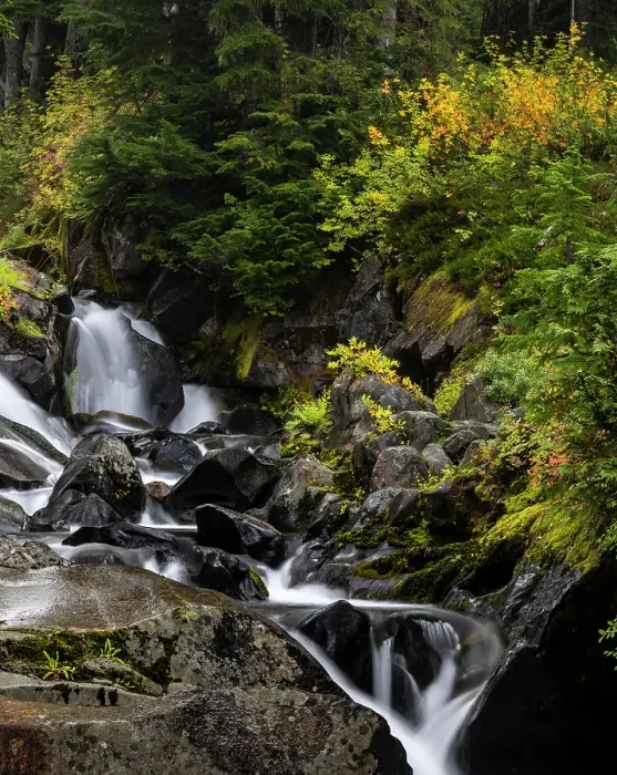 Framed Print : Paradise River in autumn in Mount Rainier National Park, Washington State, USA Framed Print : Paradise River in autumn in Mount Rainier National Park, Washington State, USA